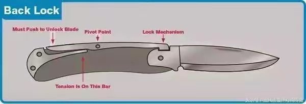 EDC Knife Locking Type—Lockback